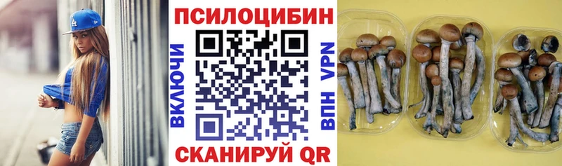 Псилоцибиновые грибы GOLDEN TEACHER Покровск