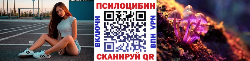 купить наркотик  Покровск  Псилоцибиновые грибы мицелий 