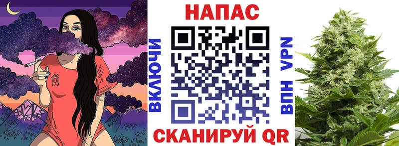 МАРИХУАНА семена  Покровск 